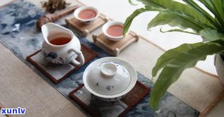 普洱茶中的女儿茶：品种、特点与分类全解析