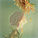 猛货翡翠原石图片：揭秘珍贵翡翠内部构造与价值评估