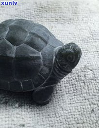玉石的小乌龟-玉石的小乌龟图片