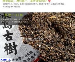 紫芽普洱生茶价格及走势全览：最新价格表与多少钱买合适