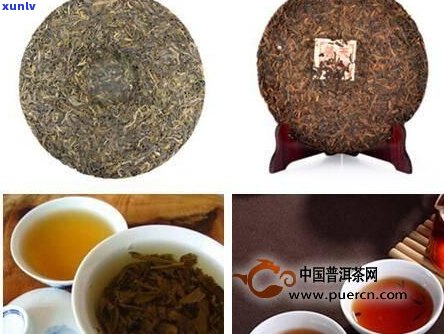 湖北熟普洱茶品牌-湖北熟普洱茶品牌排行榜