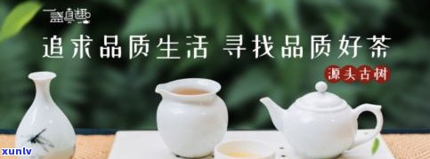 北京普洱茶哪里买好？寻找优质好茶！