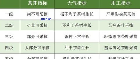 文武班章茶：价格、区别与特点全解析