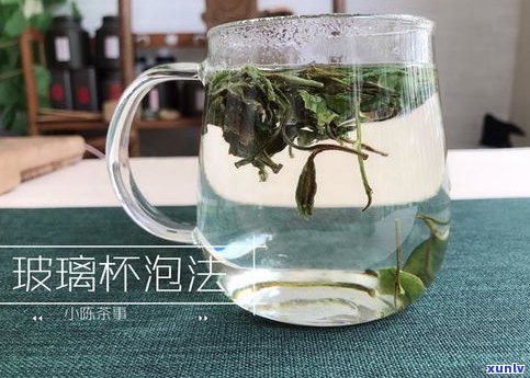 绿水潭普洱茶：口感、特点与价格全解析