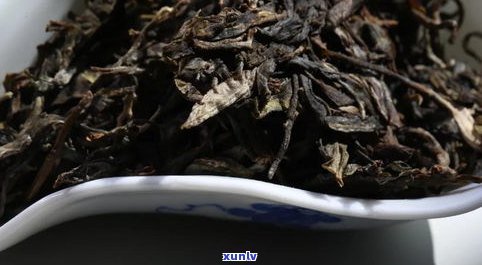 云南安腊山普洱茶：古树茶价格、口感全解析