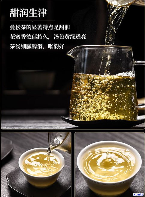 云南大安山普洱茶-云南大安山普洱茶产地