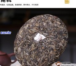 普洱茶哪种品牌更好？口感、正宗程度与性价比全面解析