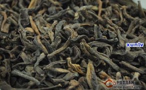 槽老头班章普洱茶-昆明糟老头茶叶老班章2010普洱生茶