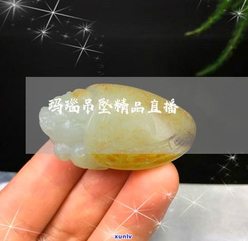 玉石鳄鱼寓意-玉石鳄鱼寓意什么