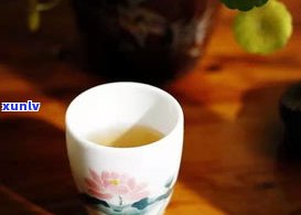 喝普洱茶要什么杯子更好？选择合适的杯子提升品茗体验