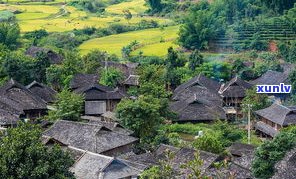 小黑寨普洱茶在哪-小黑寨普洱茶在哪里生产