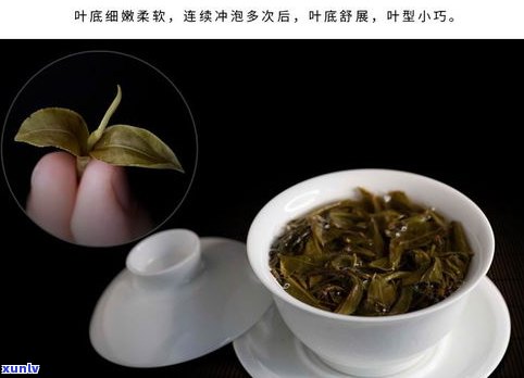 2020年猫耳朵普洱茶价格：产量稀少，属于哪个片区？猫耳朵普洱生茶多少钱一斤？
