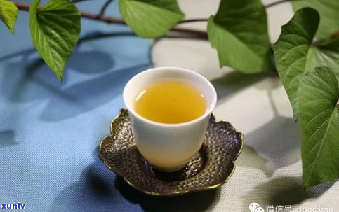 猫尔朵普洱茶特点-猫儿朵普洱茶