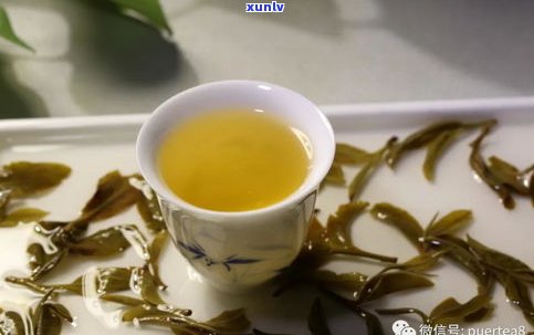 猫尔朵普洱茶特点-猫儿朵普洱茶