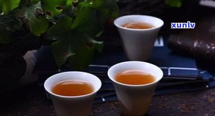 瘦人如何科学饮用普洱茶以达到更佳效果？