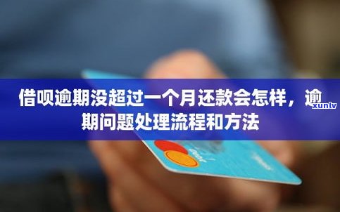 借呗逾期后部分还款可以吗？怎样办理及作用？