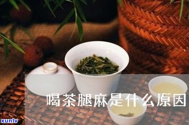 碎银子普洱茶：品牌、价格及评价全解析