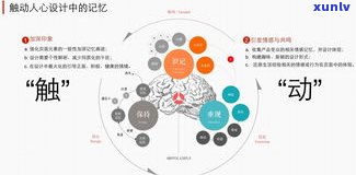 卖普洱茶前景如何？需要了解的关键点与赚钱可能性