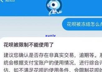 借呗逾期冻结会上门走访吗？真相解析