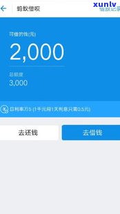 借呗逾期2年可以还本金吗-借呗逾期2年可以还本金吗