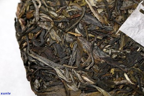 深入解析：普洱茶的特点与口感，从曼松、冰岛到普洱茶的普遍特性