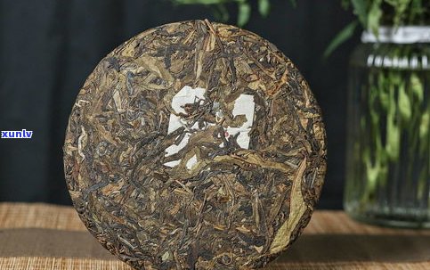 深入解析：普洱茶的特点与口感，从曼松、冰岛到普洱茶的普遍特性