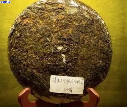 普洱茶山头茶品牌大全：知名品牌及特色介绍