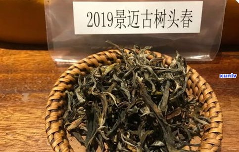 景迈普洱茶老茶口感全解析：价格、特点及品尝指南