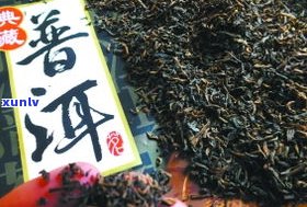 1千元一斤普洱茶：真实价格或市场炒作？