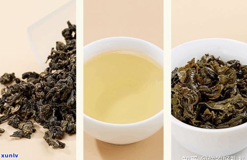 哪种大益普洱茶好-哪种大益普洱茶好喝