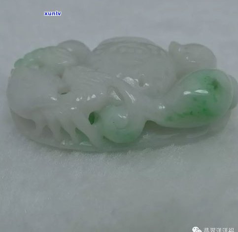 翡翠生肖猪吊坠图片大全：展示精美猪年翡翠饰品，包含猪生肖翡翠玉吊坠图片和猪生肖翡翠牌图片。