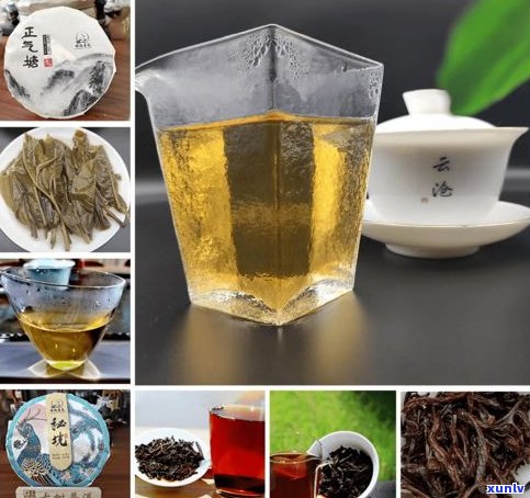 普洱茶加工工艺品-普洱茶加工工艺品有哪些