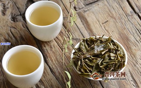 云南普洱茶冲泡  ：怎样冲泡出好喝的普洱茶？