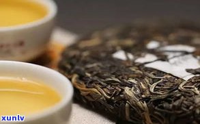 漳州现在有普洱茶销售，价格如何？