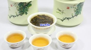 漳州有无近期普洱茶销售？价格如何？