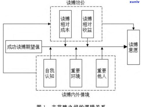 优质普洱茶的形成条件：关键因素与影响机制