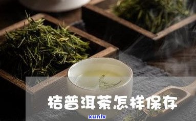 普洱茶饼：冷冻还是冷藏？保存 *** 大揭秘