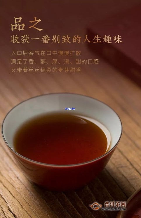 李美瑛熟茶：产品、价格、代表作全解析