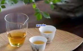 青桔普洱茶去火效果怎样？怎样冲泡好喝？有哪些好处？