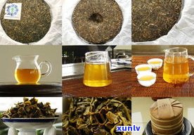 安徽普洱茶叶：产地、价格与历史全解析