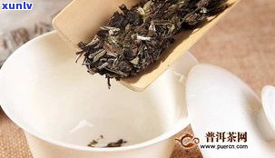 普洱茶与老白茶：有何区别？哪种更养生？