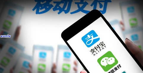 借呗逾期信用分会降到0吗-借呗逾期信用分掉了还能涨回来么