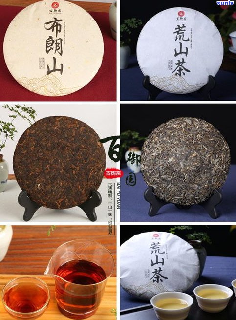 金牛古树普洱茶饼-金牛茶叶价格