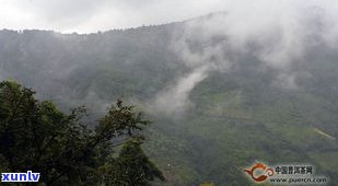 普洱茶吉安的产地-普洱茶吉安的产地是哪里