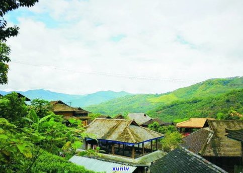 普洱茶吉安的产地-普洱茶吉安的产地是哪里