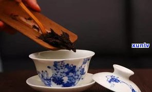 盖碗如何泡出好喝的普洱茶水？完整视频教程分享！