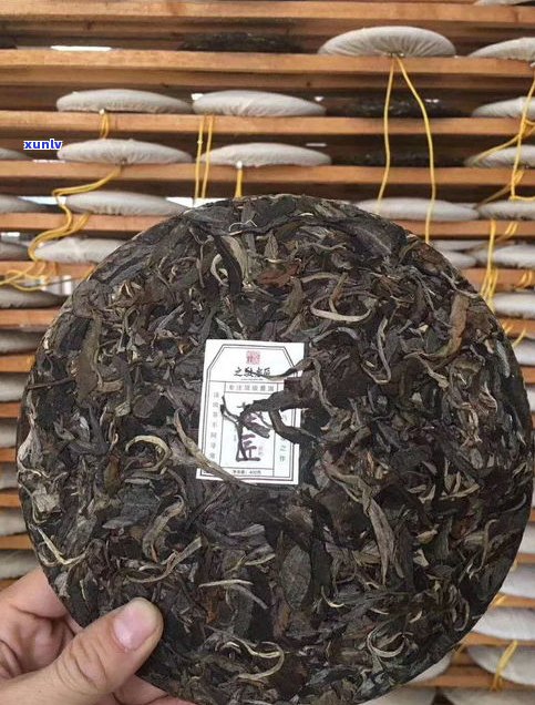 普洱茶的历史-普洱茶的历史由来