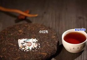 喝普洱茶的作用、功效及禁忌：全面解析常喝的好处与坏处