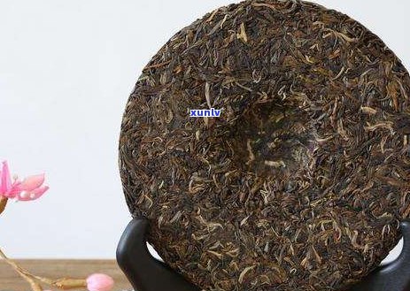 喝普洱茶的功能：降脂、抗氧化、助消化等，全面解析普洱茶的好处与作用