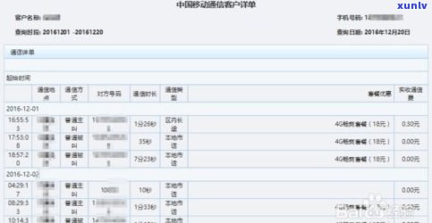 查询猪肉石拍卖记录：价格、图片及查询  